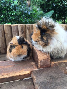 美らヤシパークオキナワ・東南植物楽園に投稿された画像（2020/3/13）