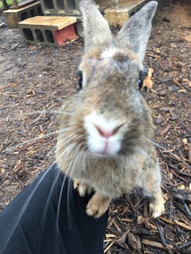 美らヤシパークオキナワ・東南植物楽園に投稿された画像（2020/3/13）