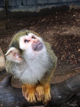 美らヤシパークオキナワ・東南植物楽園に投稿された画像（2020/3/13）