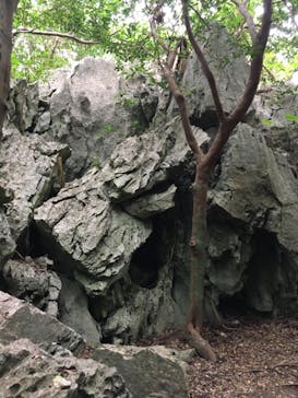 アスムイハイクスに投稿された画像（2020/3/13）