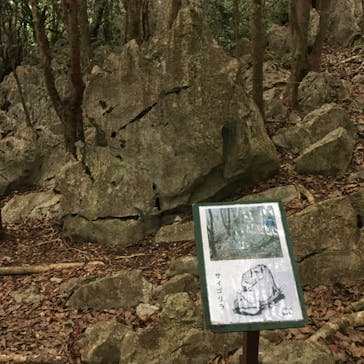 アスムイハイクスに投稿された画像（2020/3/13）