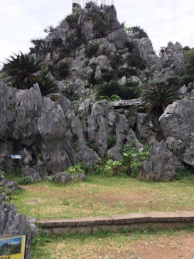 アスムイハイクスに投稿された画像（2020/3/13）