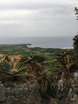 アスムイハイクスに投稿された画像（2020/3/13）