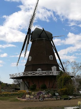 ふなばしアンデルセン公園に投稿された画像（2020/3/13）
