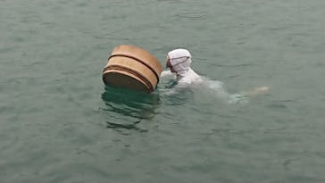 ミキモト真珠島に投稿された画像（2020/3/14）