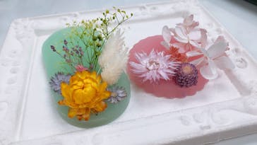 ずこうしつ〜sugamo〜に投稿された画像（2020/3/14）