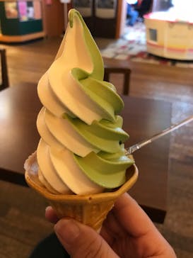 竜泉寺の湯 草加谷塚店に投稿された画像（2020/3/14）