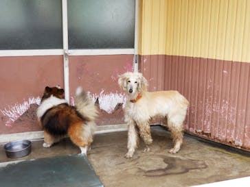 IPCわんわん動物園に投稿された画像（2020/3/14）