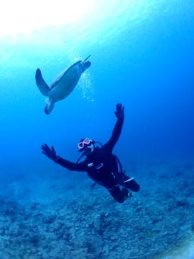 SeaJack divefamily （シージャック）に投稿された画像（2020/3/14）