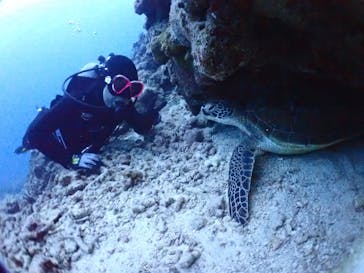 SeaJack divefamily （シージャック）に投稿された画像（2020/3/14）