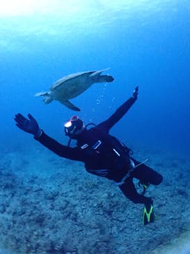 SeaJack divefamily （シージャック）に投稿された画像（2020/3/14）