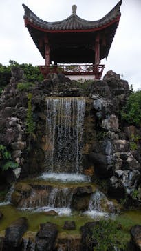 福州園に投稿された画像（2020/3/14）