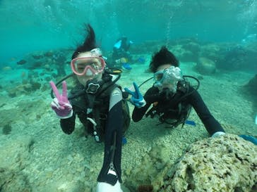 武藤潜水に投稿された画像（2020/3/15）