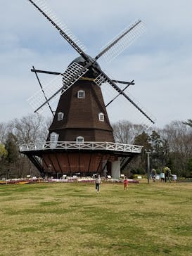 ふなばしアンデルセン公園に投稿された画像（2020/3/15）