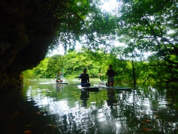 石垣島 ADVENTURE PiPi（イシガキジマアドベンチャーピピ）に投稿された画像（2020/3/15）