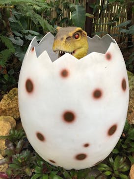 ナゴパイナップルパークに投稿された画像（2020/3/16）