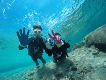 武藤潜水に投稿された画像（2020/3/16）