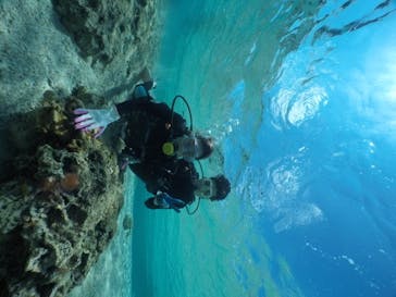 武藤潜水に投稿された画像（2020/3/16）