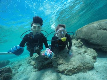 武藤潜水に投稿された画像（2020/3/16）