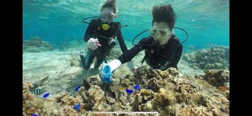 武藤潜水に投稿された画像（2020/3/16）