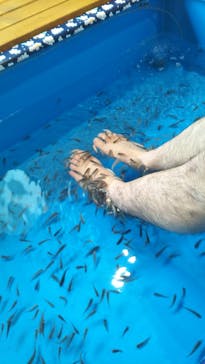 空庭温泉 OSAKA BAY TOWER（オオサカベイタワー）に投稿された画像（2020/3/16）