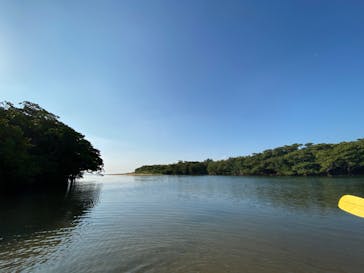 CHOROに投稿された画像（2020/3/17）