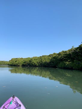 CHOROに投稿された画像（2020/3/17）