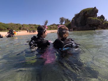 武藤潜水に投稿された画像（2020/3/17）