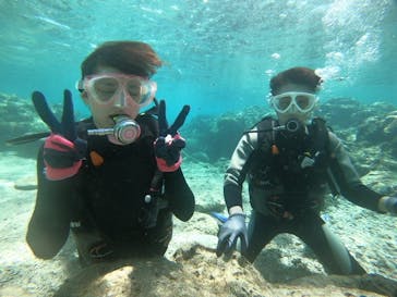 DIVING-SHOP SUNSに投稿された画像（2020/3/17）