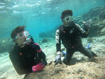 DIVING-SHOP SUNSに投稿された画像（2020/3/17）