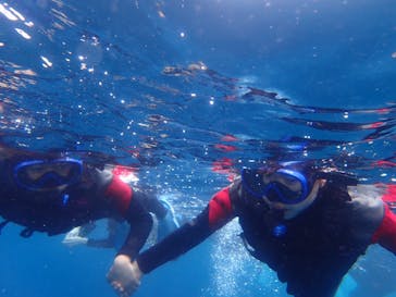 石垣島 ADVENTURE PiPi（イシガキジマアドベンチャーピピ）に投稿された画像（2020/3/17）