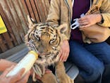 しろとり動物園に投稿された画像（2020/3/18）