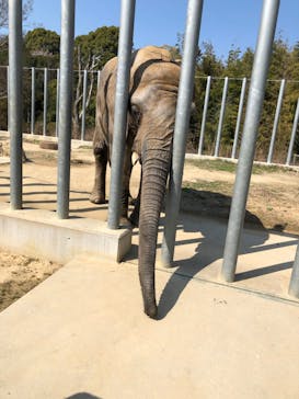 しろとり動物園に投稿された画像（2020/3/18）