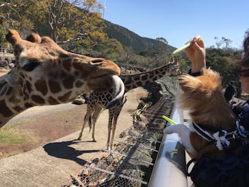 伊豆アニマルキングダムに投稿された画像（2020/3/18）