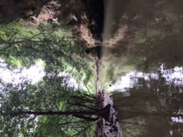 CHOROに投稿された画像（2020/3/19）