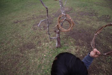 ビオスの丘に投稿された画像（2020/3/19）