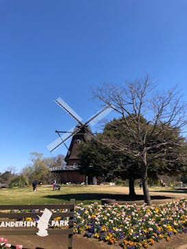 ふなばしアンデルセン公園に投稿された画像（2020/3/20）