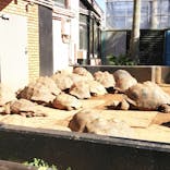 体感型動物園iZooに投稿された画像（2020/3/20）