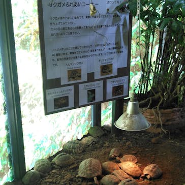 体感型動物園iZooに投稿された画像（2020/3/20）