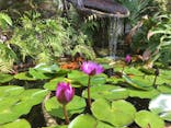 美らヤシパークオキナワ・東南植物楽園に投稿された画像（2020/3/20）