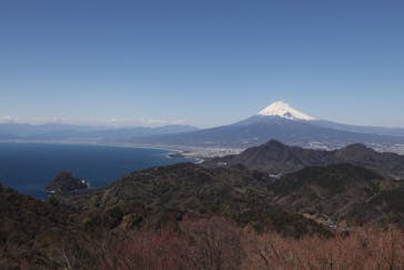 伊豆パノラマパークに投稿された画像（2020/3/20）