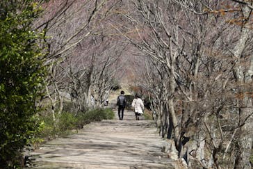 伊豆パノラマパークに投稿された画像（2020/3/20）