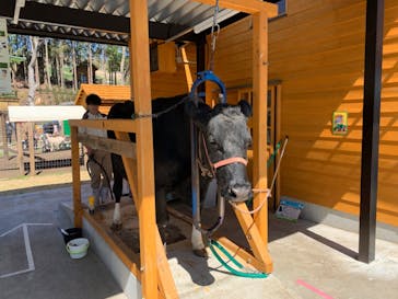 まかいの牧場に投稿された画像（2020/3/20）