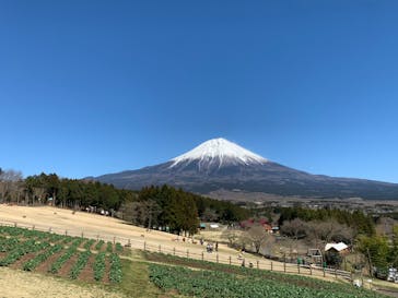 まかいの牧場に投稿された画像（2020/3/20）