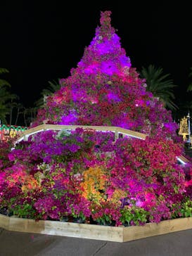 美らヤシパークオキナワ・東南植物楽園に投稿された画像（2020/3/20）