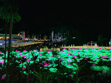 美らヤシパークオキナワ・東南植物楽園に投稿された画像（2020/3/20）