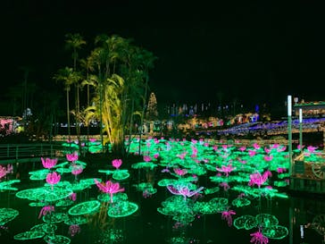 美らヤシパークオキナワ・東南植物楽園に投稿された画像（2020/3/20）