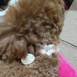 銀のイルカに投稿された画像（2020/3/20）