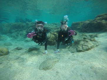 武藤潜水に投稿された画像（2020/3/21）