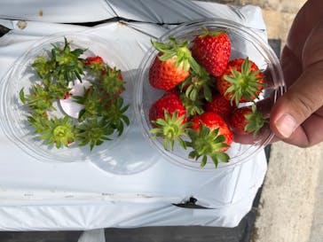 ビオスの丘に投稿された画像（2020/3/21）